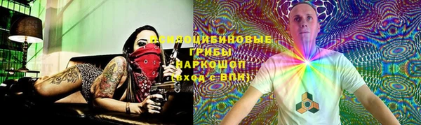 стафф Волосово
