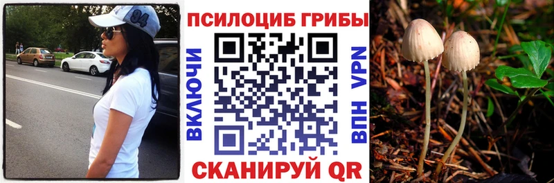 Галлюциногенные грибы ЛСД  ОМГ ОМГ tor  Инсар 