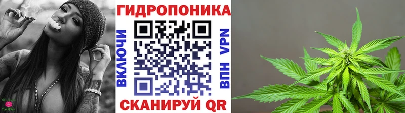 закладка  Инсар  Конопля тримм 